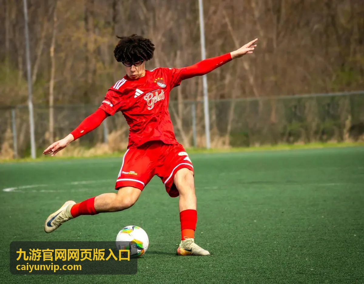 九游网页版操作设置与画质调节面板